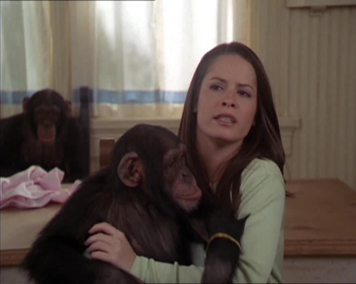 Charmed-Online-dot-220AstralMonkeys1697.jpg