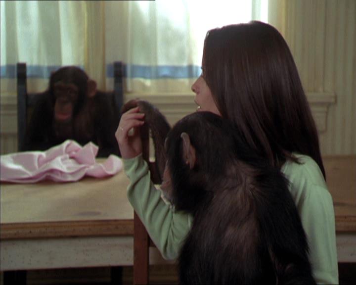 Charmed-Online-dot-220AstralMonkeys1712.jpg