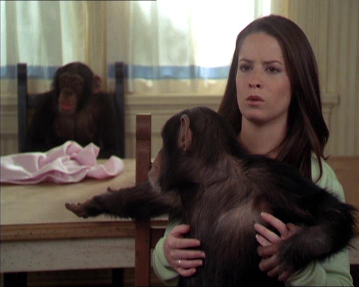 Charmed-Online-dot-220AstralMonkeys1722.jpg