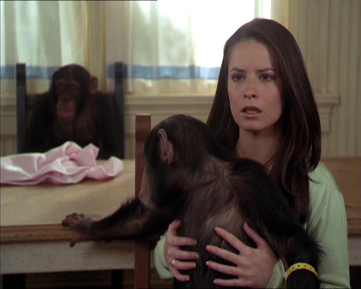 Charmed-Online-dot-220AstralMonkeys1726.jpg