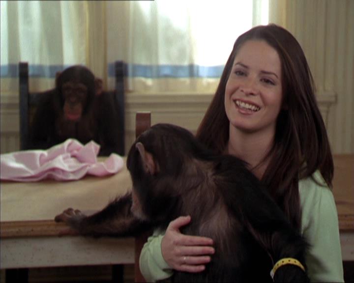 Charmed-Online-dot-220AstralMonkeys1728.jpg