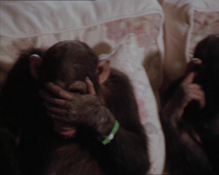 Charmed-Online-dot-220AstralMonkeys2194.jpg