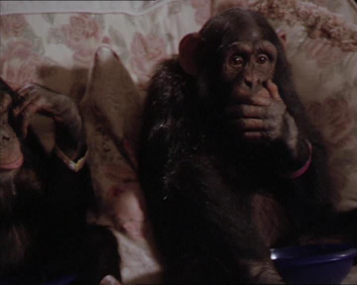 Charmed-Online-dot-220AstralMonkeys2196.jpg