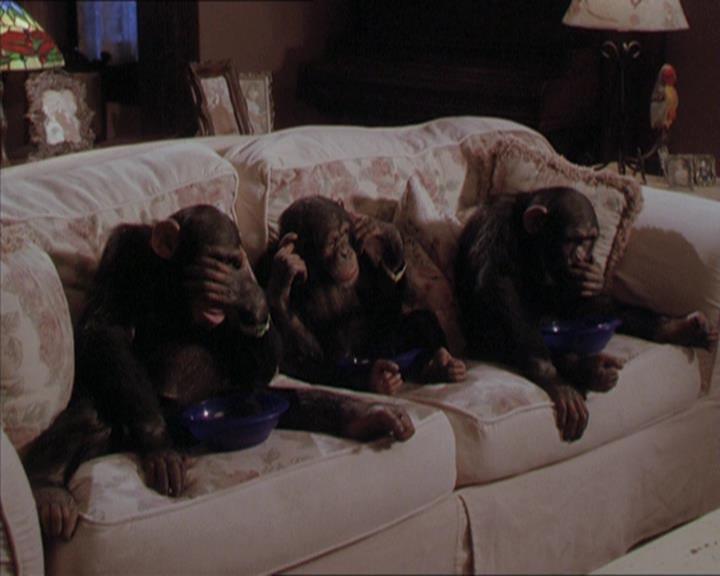 Charmed-Online-dot-220AstralMonkeys2200.jpg