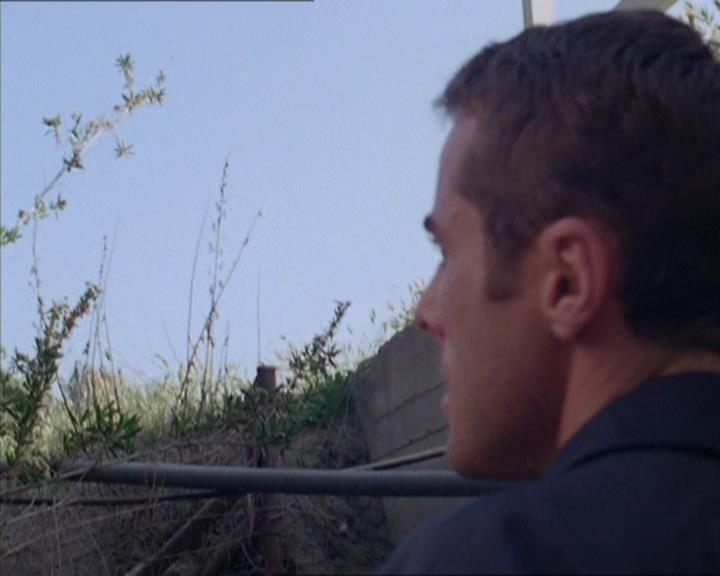 Charmed-Online-dot-222BeCarefulWhatYouWitchFor1169.jpg