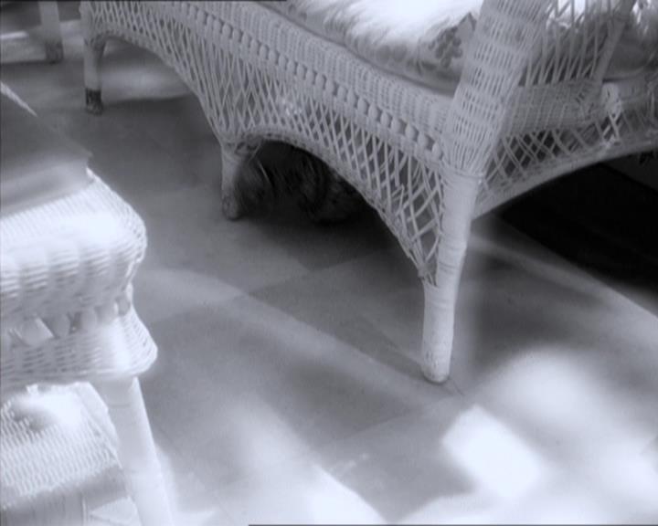 Charmed-Online-dot-222BeCarefulWhatYouWitchFor1751.jpg