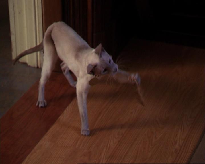 Charmed-Online_dot_net-3x02MagicHour0421.jpg