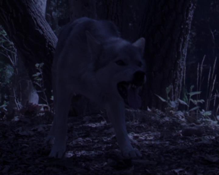 Charmed-Online_dot_net-3x02MagicHour0894.jpg