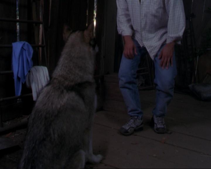 Charmed-Online_dot_net-3x02MagicHour0911.jpg Charmed-Online_dot_net-3x02MagicHour0911.jpg