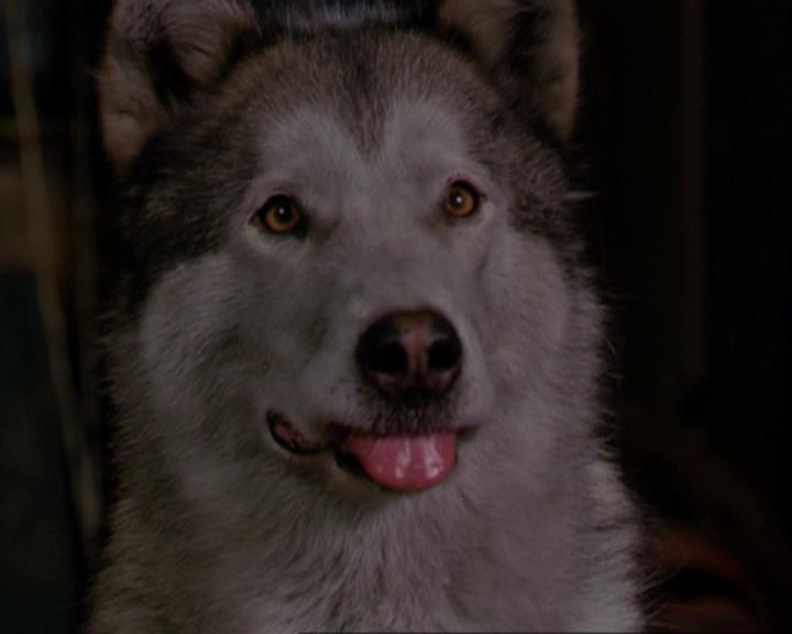 Charmed-Online_dot_net-3x02MagicHour0926.jpg Charmed-Online_dot_net-3x02MagicHour0926.jpg