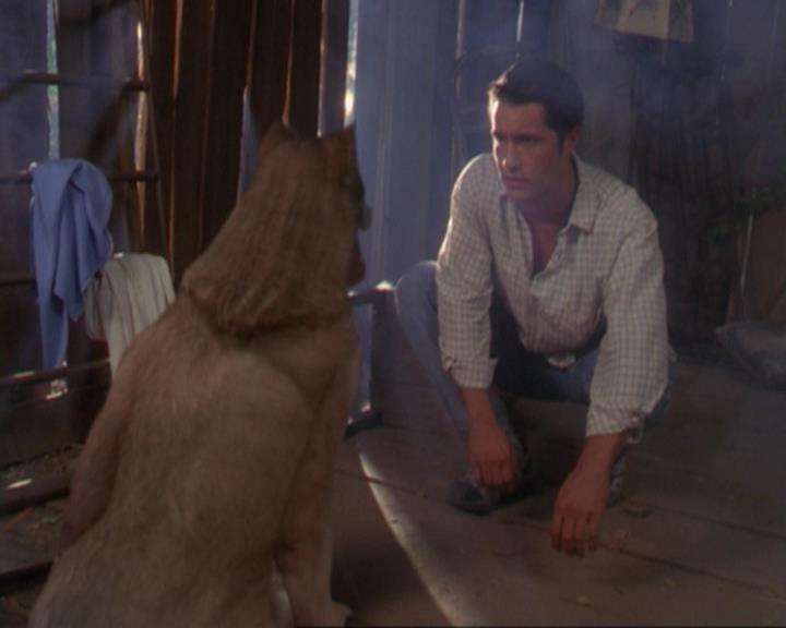 Charmed-Online_dot_net-3x02MagicHour0931.jpg
