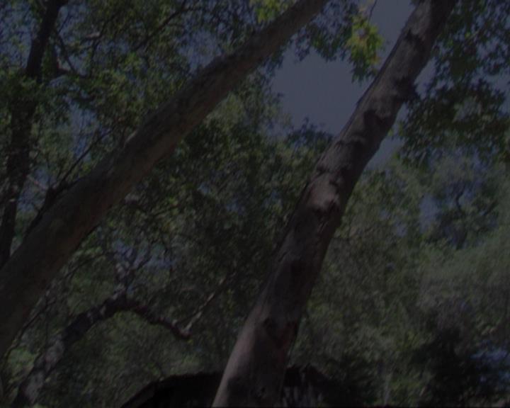 Charmed-Online_dot_net-3x02MagicHour0951.jpg Charmed-Online_dot_net-3x02MagicHour0951.jpg