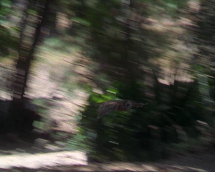 Charmed-Online_dot_net-3x02MagicHour1013.jpg
