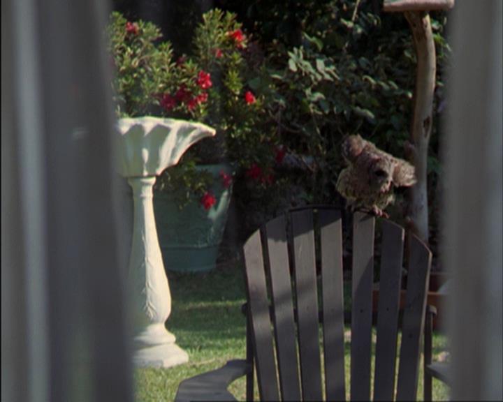 Charmed-Online_dot_net-3x02MagicHour1165.jpg Charmed-Online_dot_net-3x02MagicHour1165.jpg