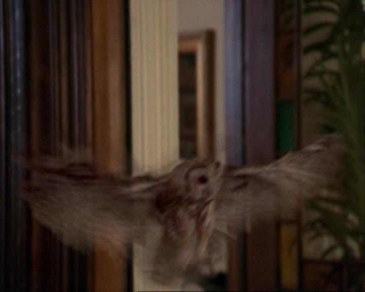 Charmed-Online_dot_net-3x02MagicHour1538.jpg