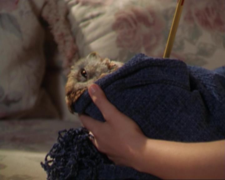 Charmed-Online_dot_net-3x02MagicHour1881.jpg Charmed-Online_dot_net-3x02MagicHour1881.jpg