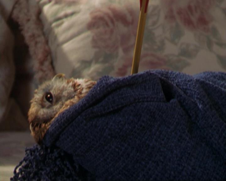 Charmed-Online_dot_net-3x02MagicHour1884.jpg Charmed-Online_dot_net-3x02MagicHour1884.jpg