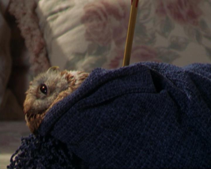 Charmed-Online_dot_net-3x02MagicHour1885.jpg