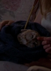 Charmed-Online_dot_net-3x02MagicHour1567.jpg