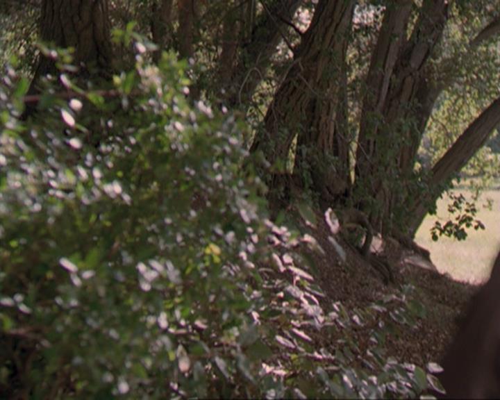 Charmed-Online_dot_net-3x04AllHalliwellsEve0501.jpg Charmed-Online_dot_net-3x04AllHalliwellsEve0501.jpg