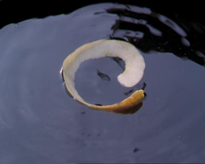 Charmed-Online_dot_net-3x04AllHalliwellsEve1453.jpg Charmed-Online_dot_net-3x04AllHalliwellsEve1453.jpg