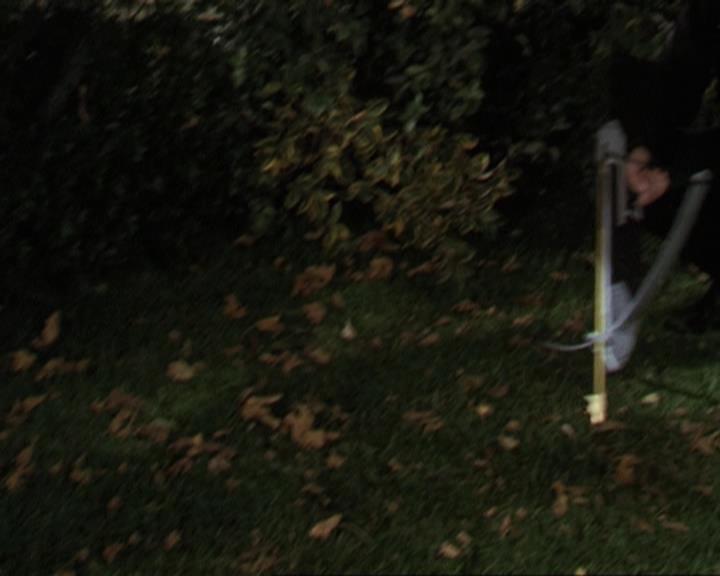Charmed-Online-dot-311BlindedByTheWhitelighter1394.jpg Charmed-Online-dot-311BlindedByTheWhitelighter1394.jpg