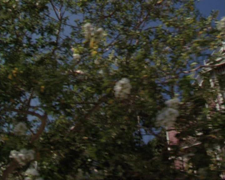 Charmed-Online-dot-314TheGoodTheBadAndTheCursed0210.jpg