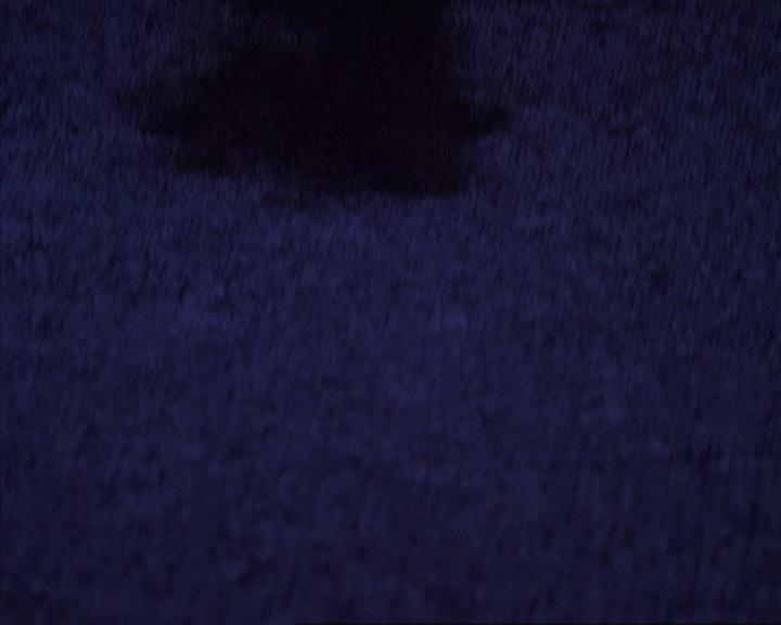 Charmed-Online-dot-316DeathTakesAHalliwell0691.jpg