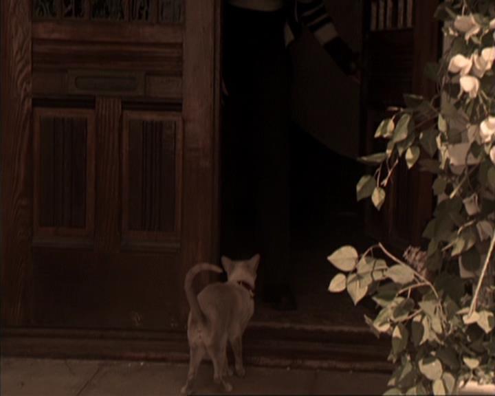 Charmed-Online-dot-317Pre-Witched1207.jpg