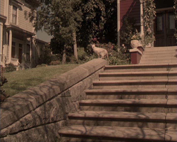 Charmed-Online-dot-317Pre-Witched1236.jpg