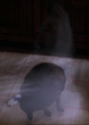 Charmed-Online-dot-317Pre-Witched0209.jpg