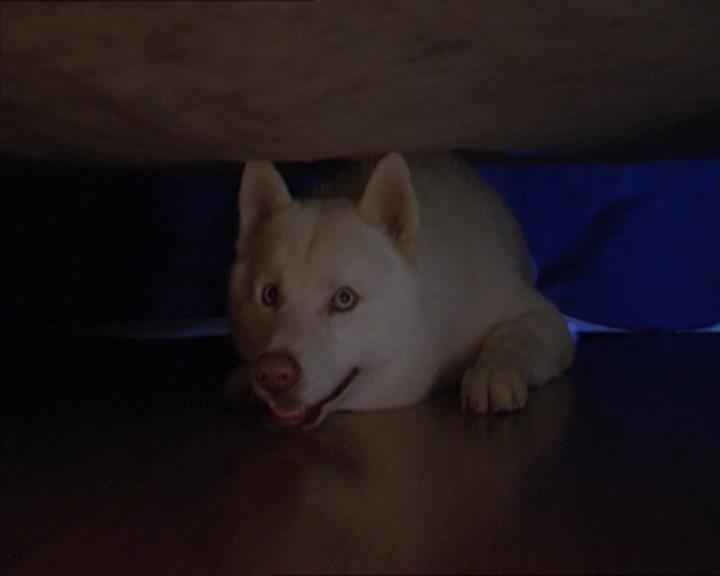 Charmed-Online-dot-320LookWhosBarking0919.jpg