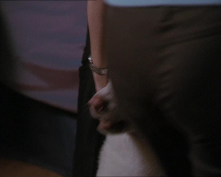 Charmed-Online-dot-320LookWhosBarking0979.jpg