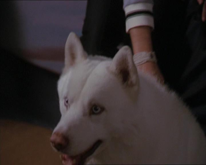 Charmed-Online-dot-320LookWhosBarking0980.jpg