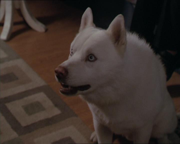 Charmed-Online-dot-320LookWhosBarking0994.jpg