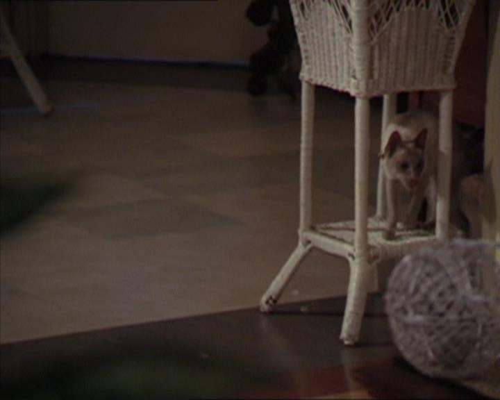 Charmed-Online-dot-320LookWhosBarking1027.jpg