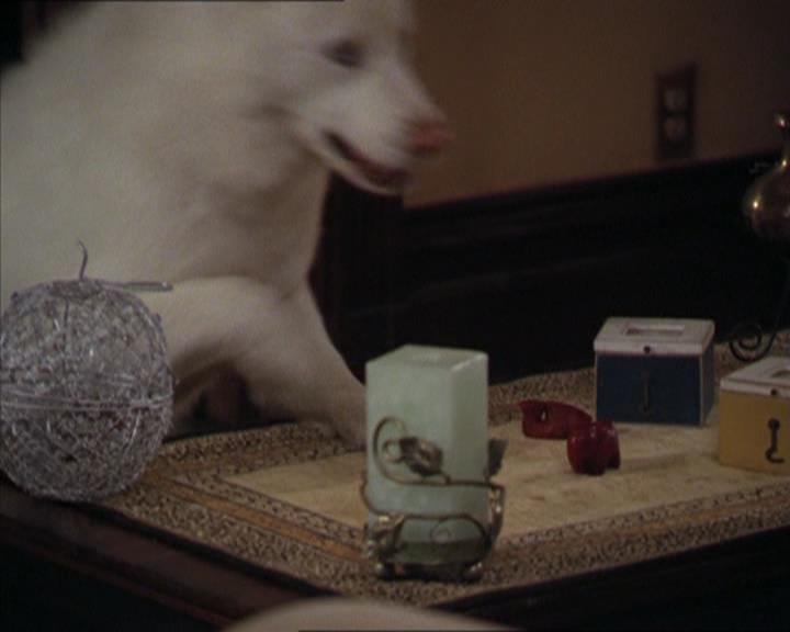 Charmed-Online-dot-320LookWhosBarking1031.jpg