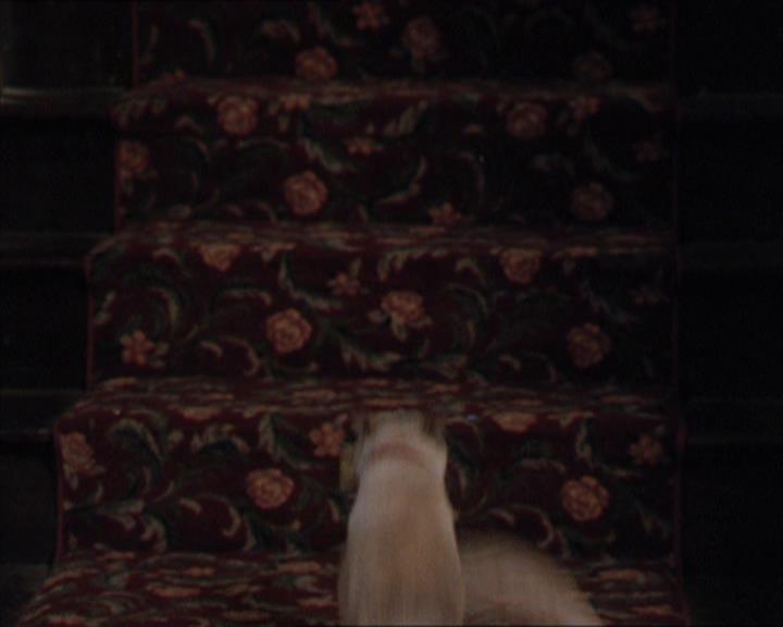 Charmed-Online-dot-320LookWhosBarking1032.jpg
