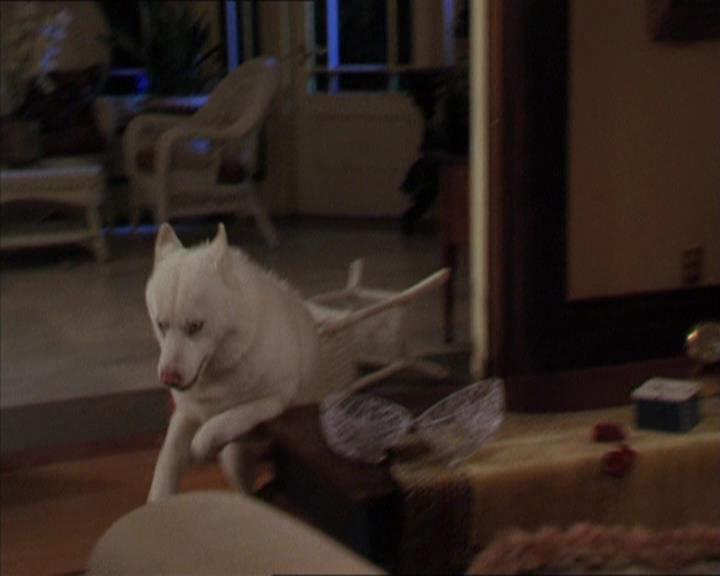 Charmed-Online-dot-320LookWhosBarking1034.jpg