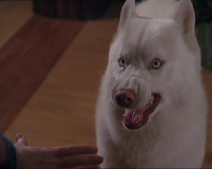 Charmed-Online-dot-320LookWhosBarking1043.jpg
