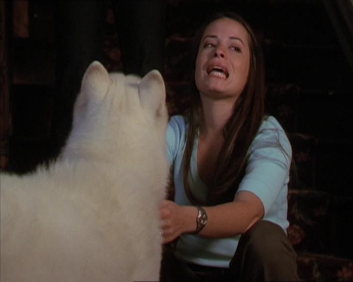Charmed-Online-dot-320LookWhosBarking1063.jpg
