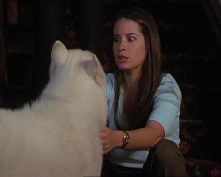 Charmed-Online-dot-320LookWhosBarking1065.jpg