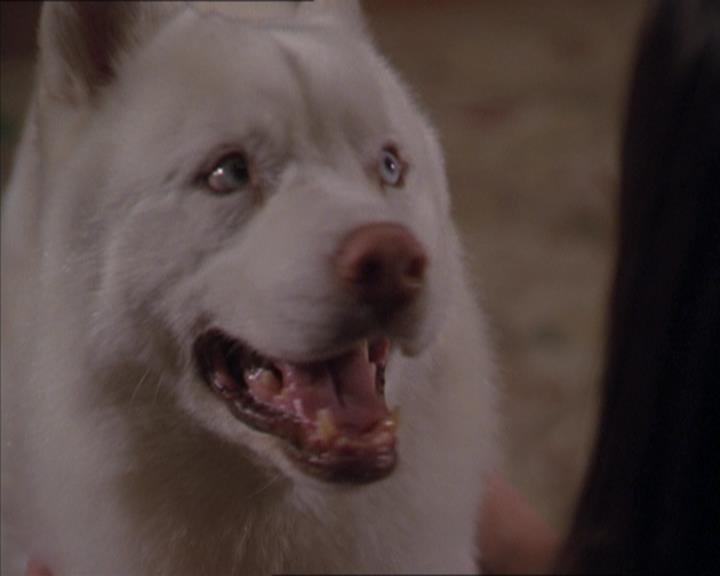 Charmed-Online-dot-320LookWhosBarking1066.jpg