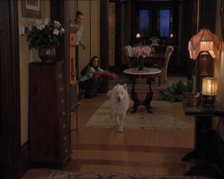Charmed-Online-dot-320LookWhosBarking1068.jpg
