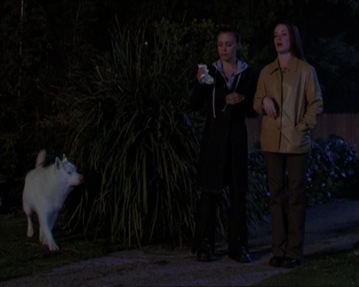 Charmed-Online-dot-320LookWhosBarking1101.jpg