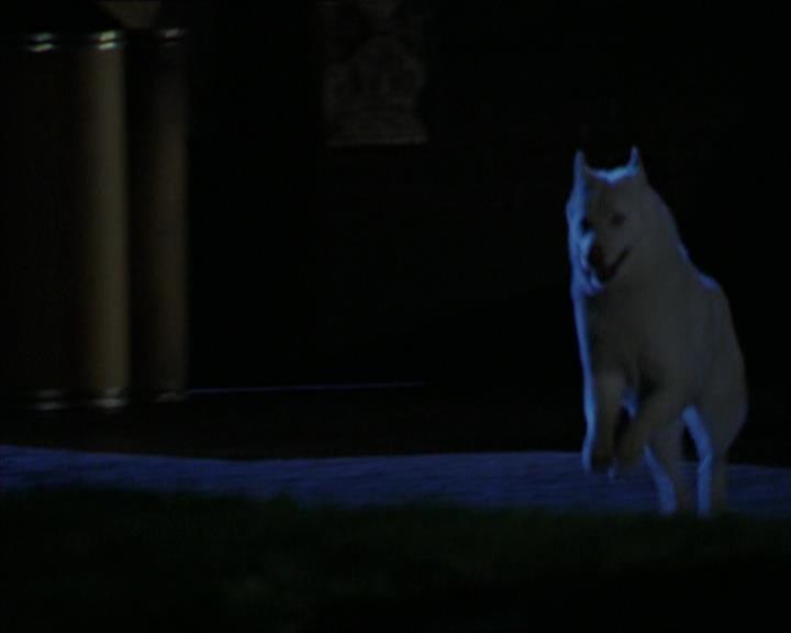 Charmed-Online-dot-320LookWhosBarking1206.jpg