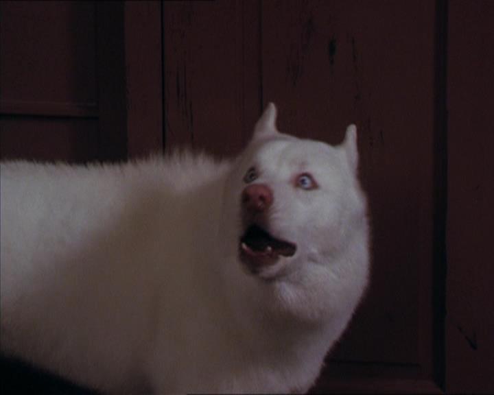 Charmed-Online-dot-320LookWhosBarking1684.jpg Charmed-Online-dot-320LookWhosBarking1684.jpg