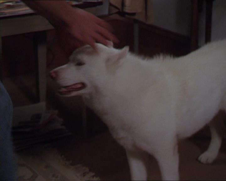Charmed-Online-dot-320LookWhosBarking1688.jpg