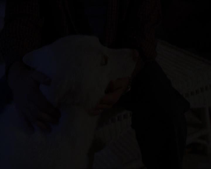 Charmed-Online-dot-320LookWhosBarking1909.jpg