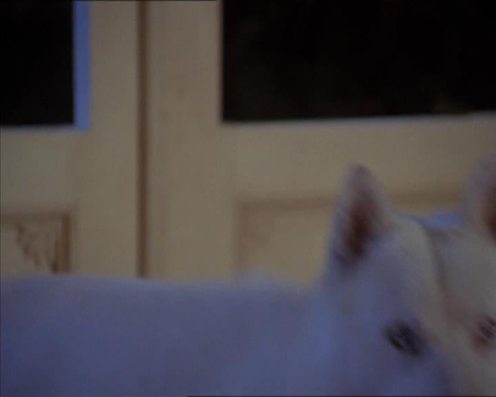 Charmed-Online-dot-320LookWhosBarking1947.jpg